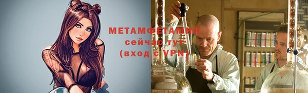 прущие грибы Медногорск