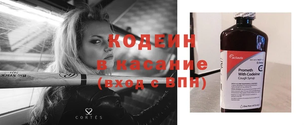 прущие грибы Медногорск