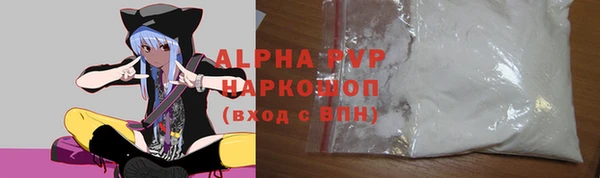 прущие грибы Медногорск