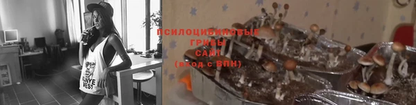 бошки Мегион