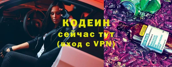 прущие грибы Медногорск