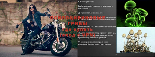 мяу мяу мука Медвежьегорск