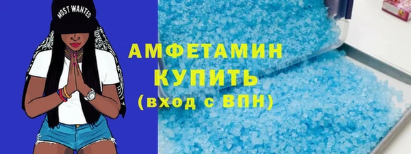 прущие грибы Медногорск