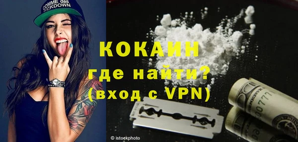 прущие грибы Медногорск