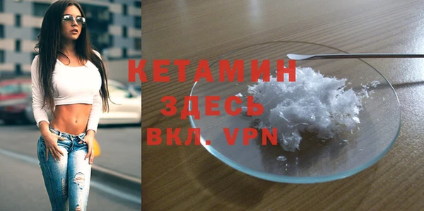 прущие грибы Медногорск