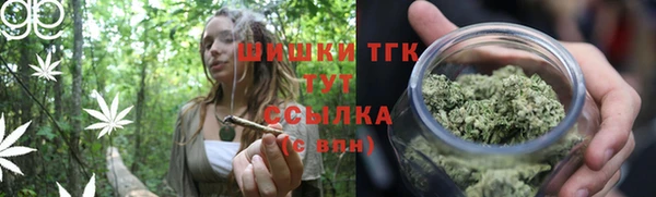 бошки Мегион