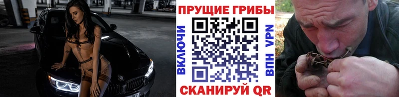 Галлюциногенные грибы мухоморы Полярные Зори